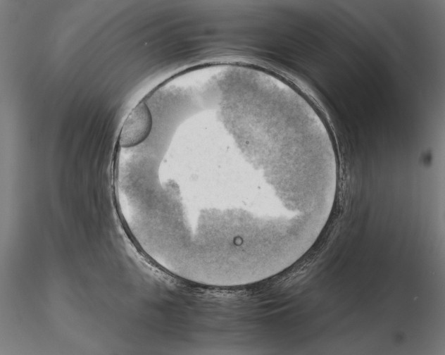 X0000115100951200912081255