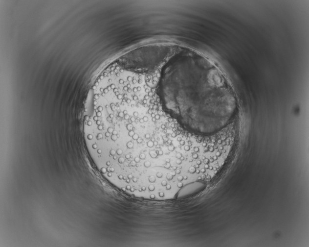 X0000115100953200912081256