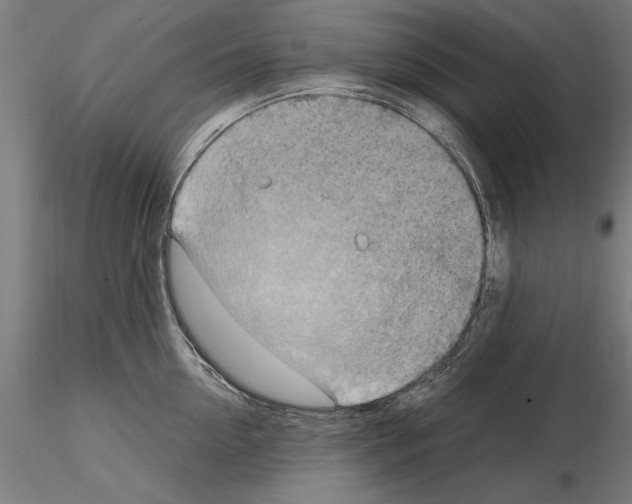 X0000115100954200912081256