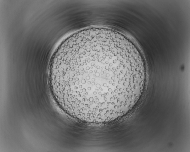 X0000115100955200912081256