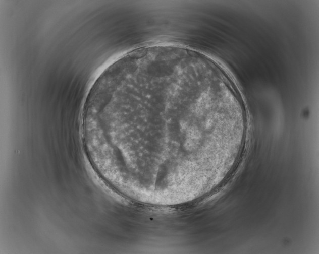 X0000115100957200912081256