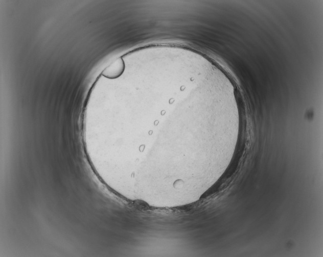 X0000115100959200912081256