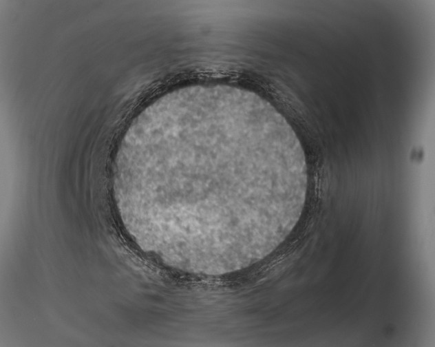 X0000115100961200912081255