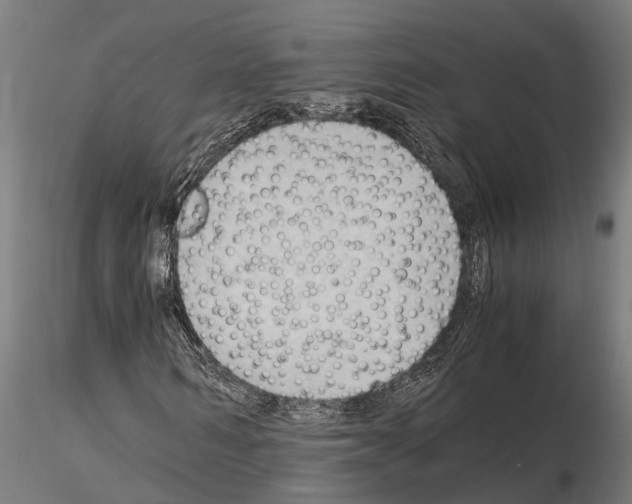 X0000115100962200912081255