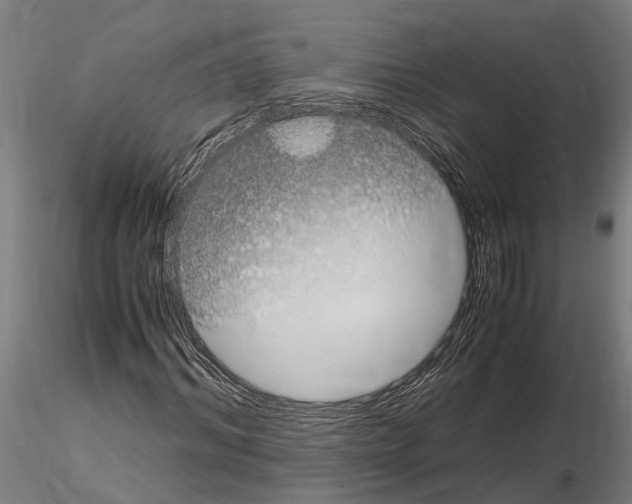 X0000115100964200912081255