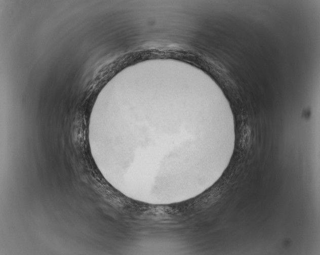 X0000115100966200912081255