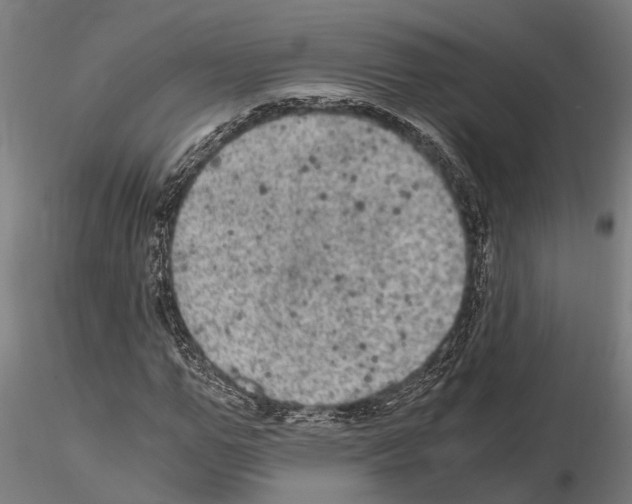 X0000115100967200912081255