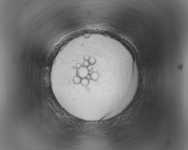 X0000115100968200912081255