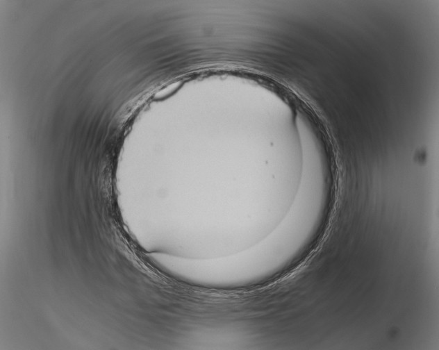 X0000115100969200912081255