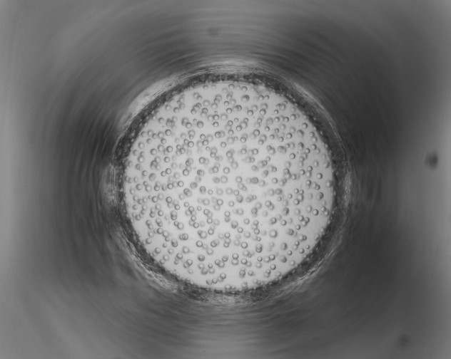 X0000115100970200912081255