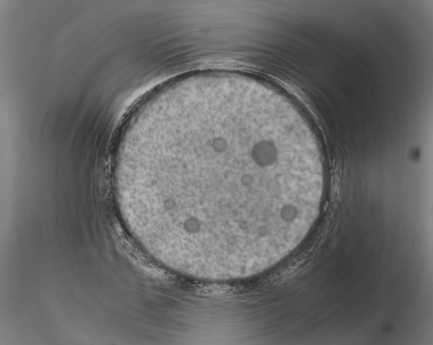 X0000115100971200912081255