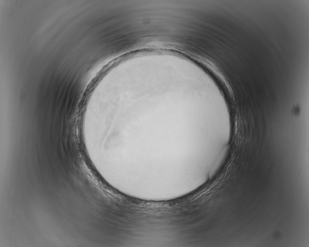 X0000115100972200912081255