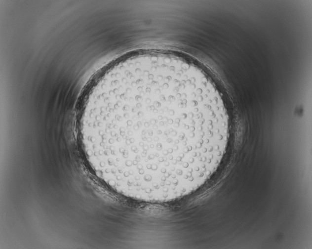 X0000115100974200912081255