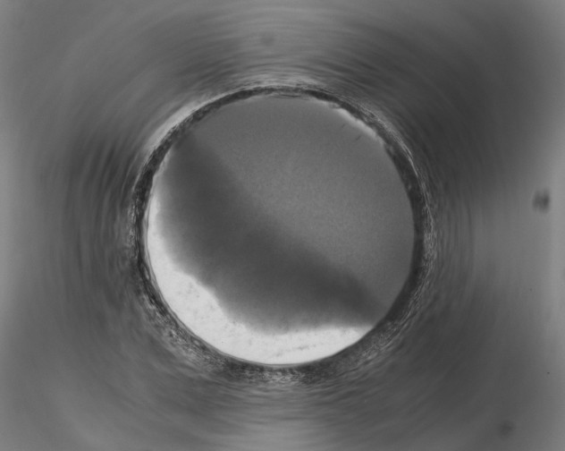 X0000115100975200912081255