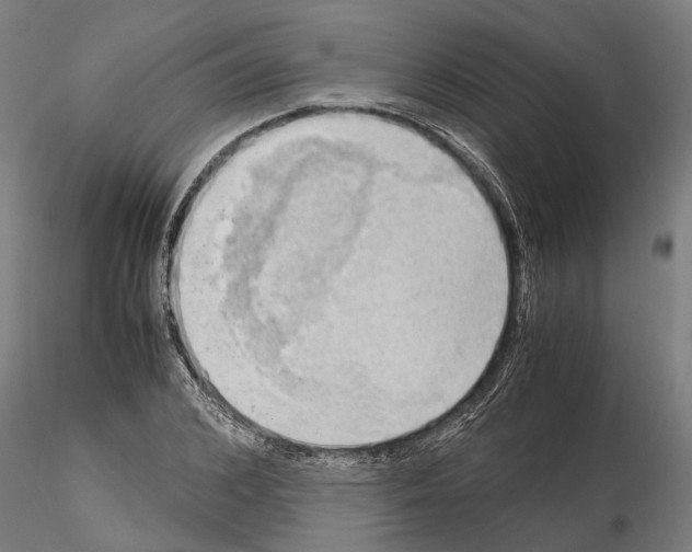 X0000115100976200912081255