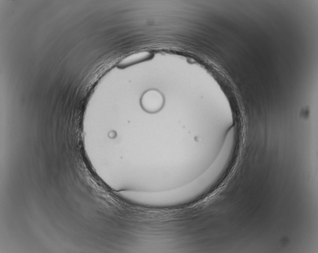 X0000115100977200912081255