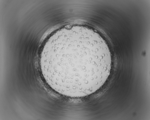 X0000115100978200912081255