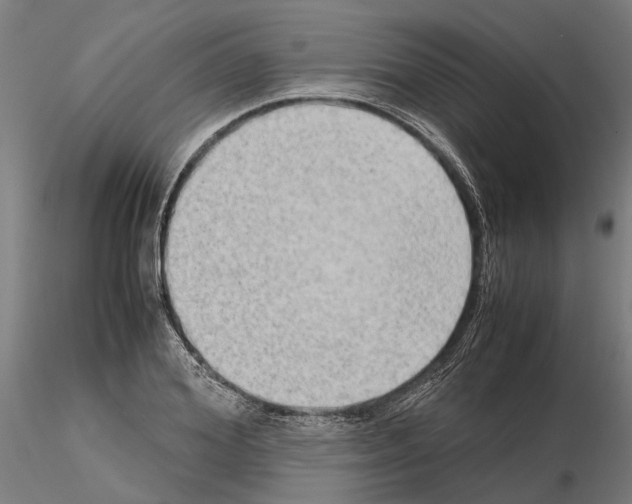 X0000115100980200912081255