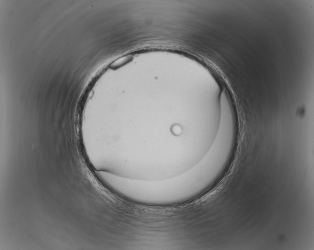 X0000115100981200912081255