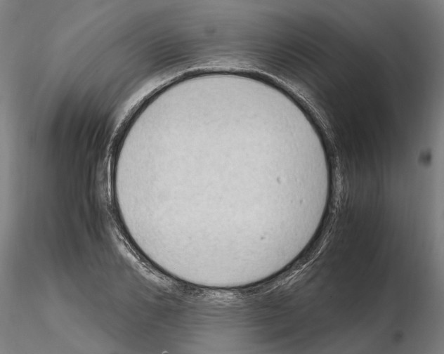 X0000115100982200912081254