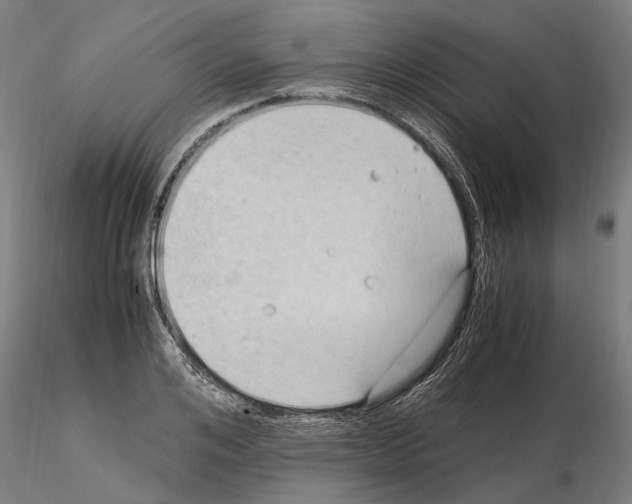 X0000115100984200912081254