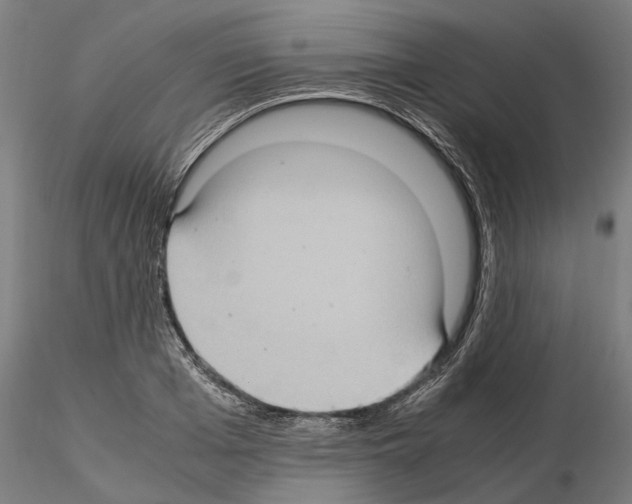 X0000115100985200912081254