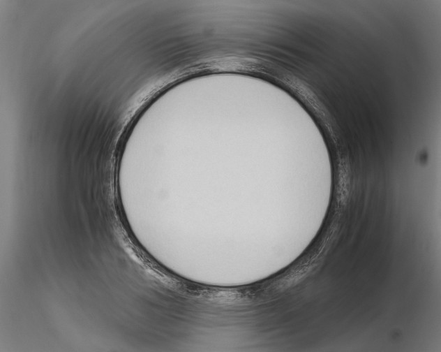 X0000115100986200912081254