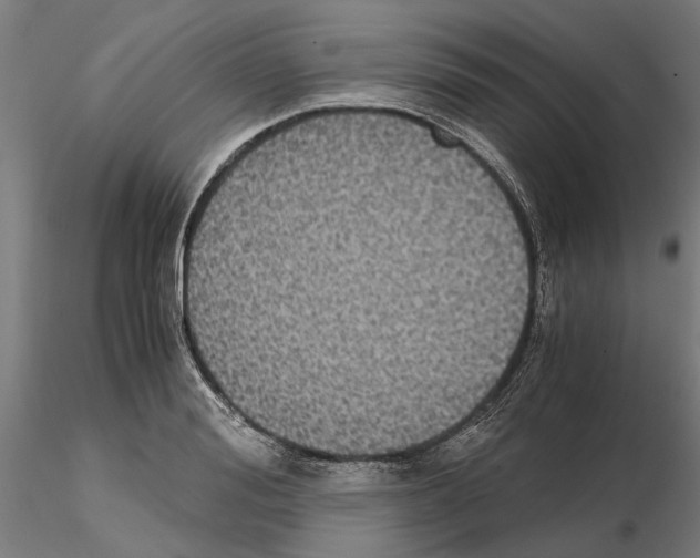 X0000115100988200912081254