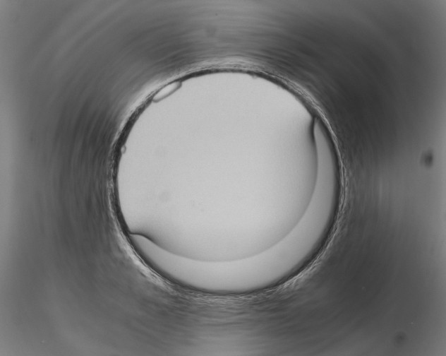 X0000115100989200912081254