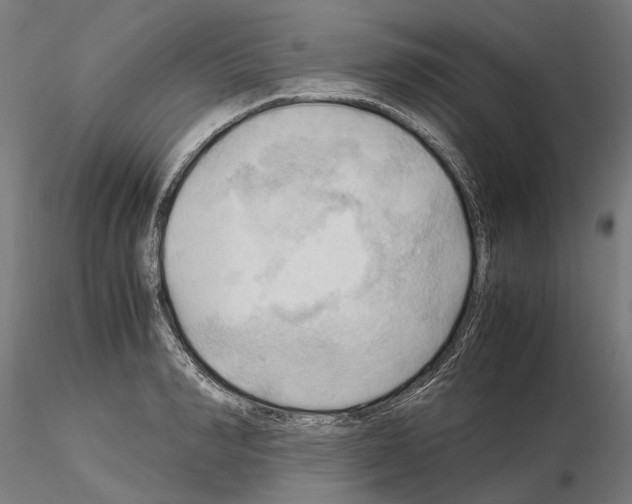 X0000115100990200912081254