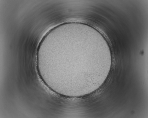 X0000115100992200912081254