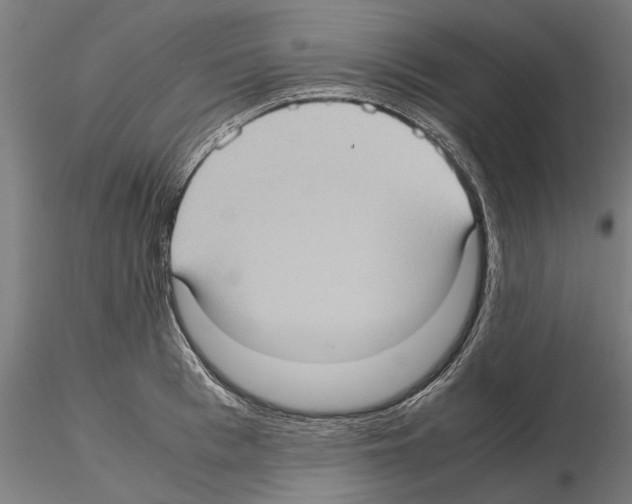 X0000115100993200912081254