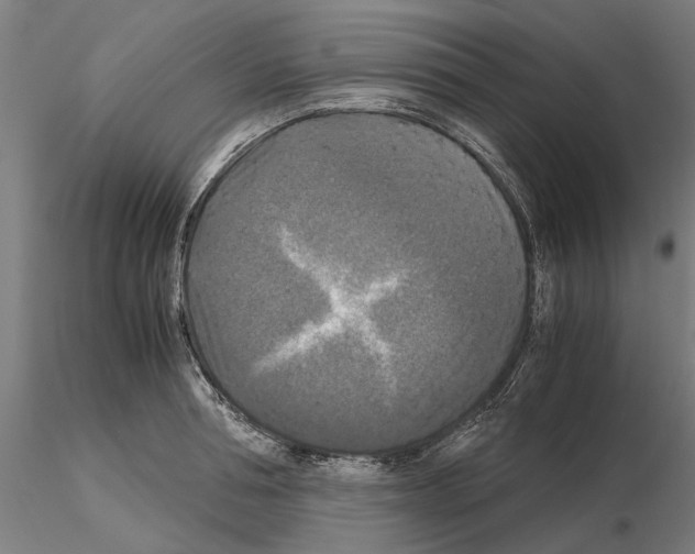 X0000115100994200912081254