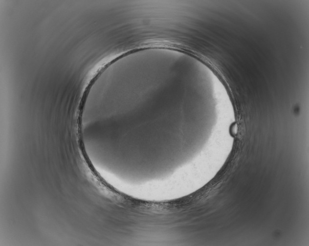 X0000115100995200912081254