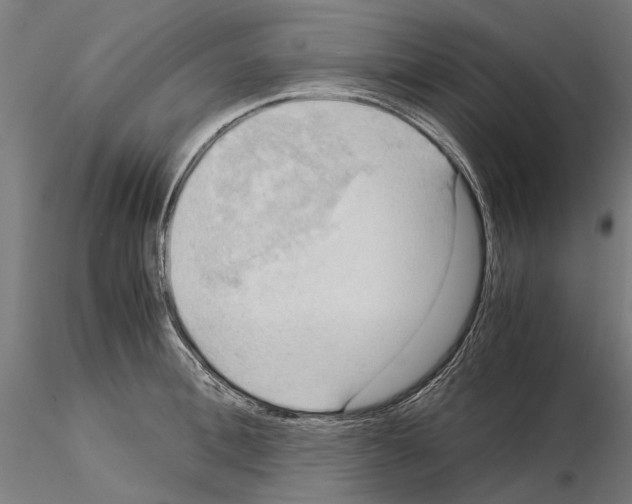 X0000115100996200912081254