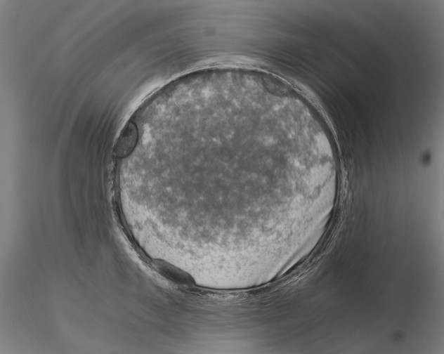 X0000115100997200912081254