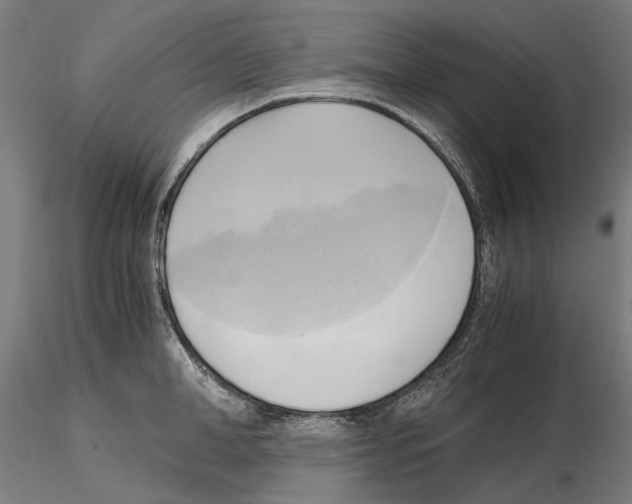 X0000115100998200912081254