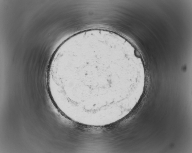 X0000115100999200912081254