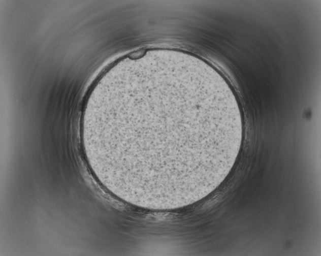 X0000115101000200912081254