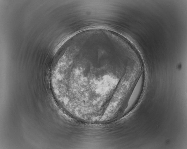 X0000115101001200912081254