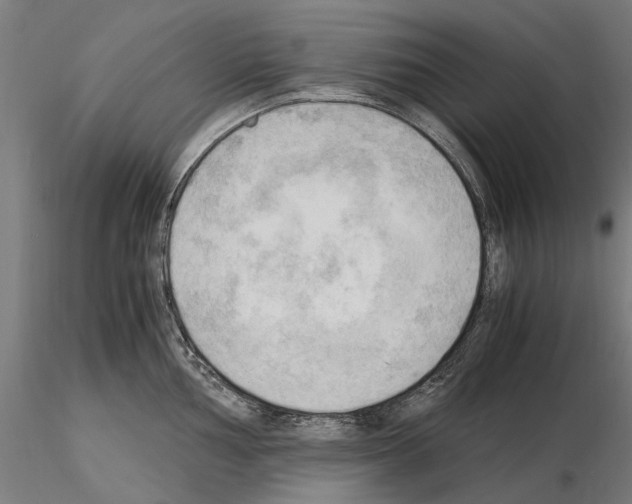 X0000115101002200912081254