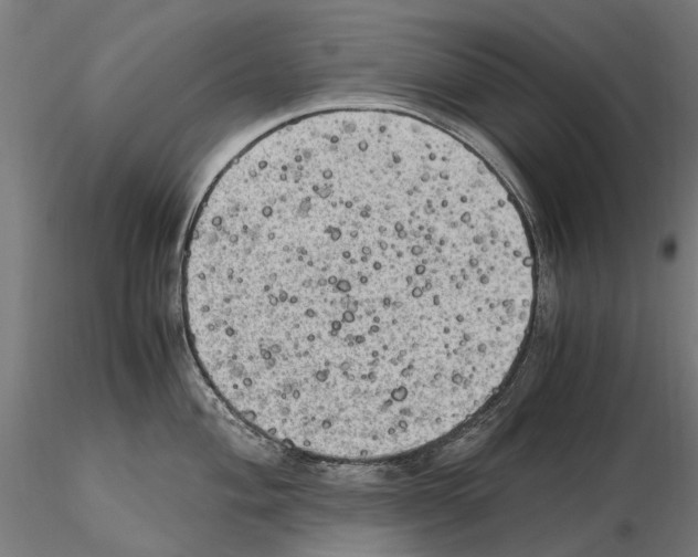 X0000115101004200912081254