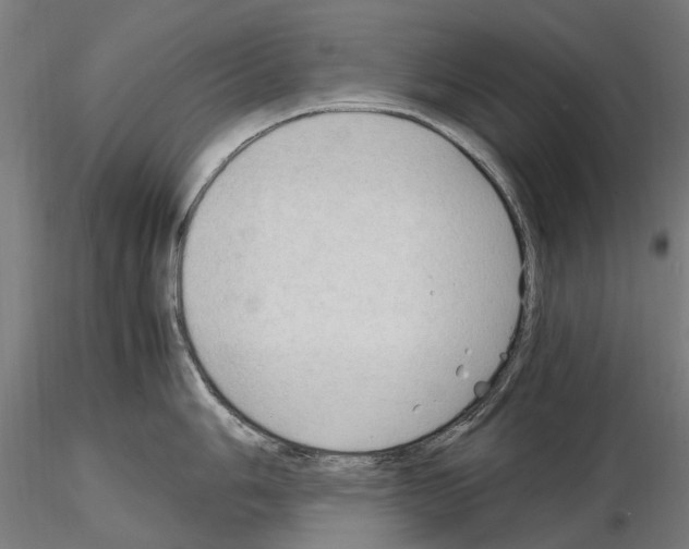 X0000115101006200912081254