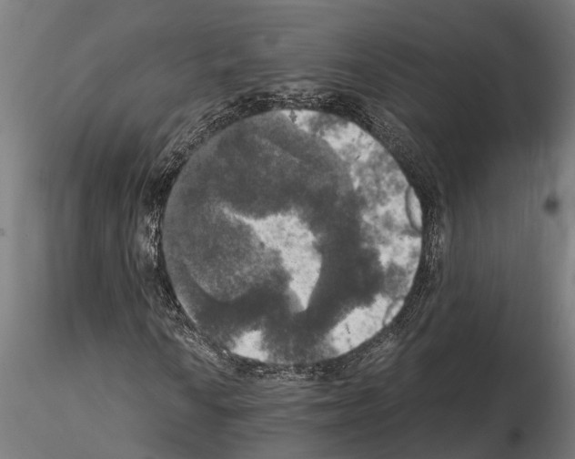 X0000115101010200912081253