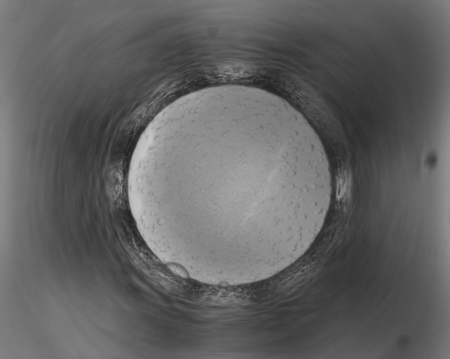 X0000115101011200912081254