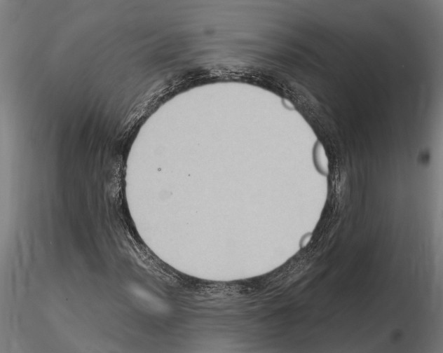 X0000115101012200912081254