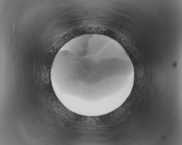 X0000115101013200912081254