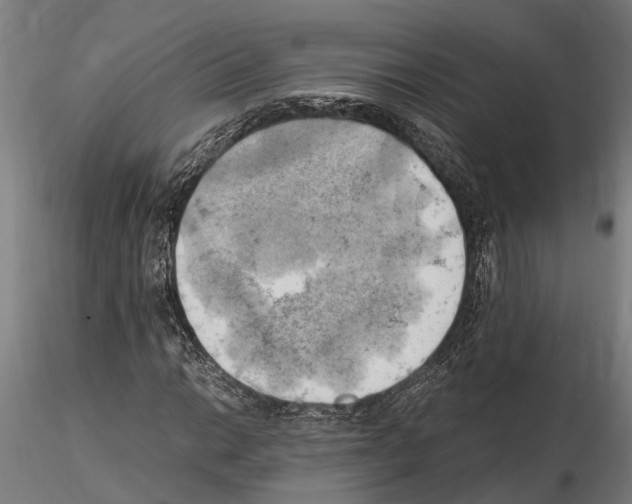 X0000115101014200912081254