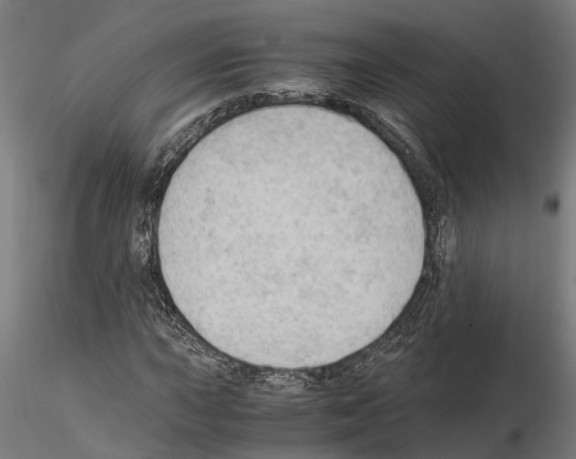 X0000115101015200912081254