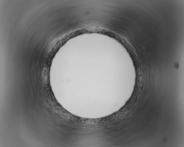 X0000115101016200912081254